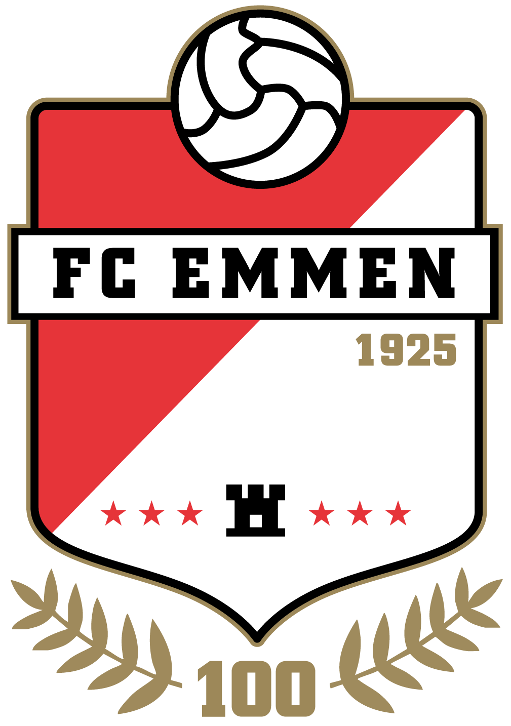 FC Emmen API logo